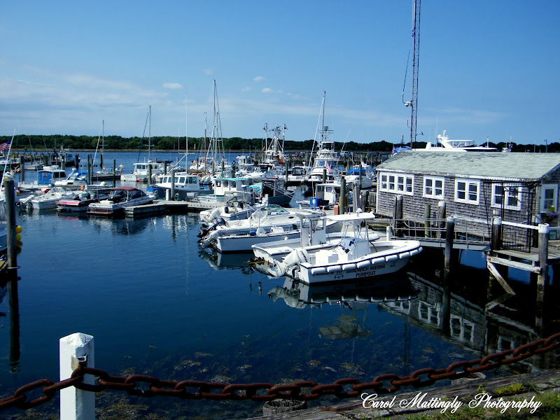 Carol Mattingly Photography Historic Sandwich, Massachusetts!