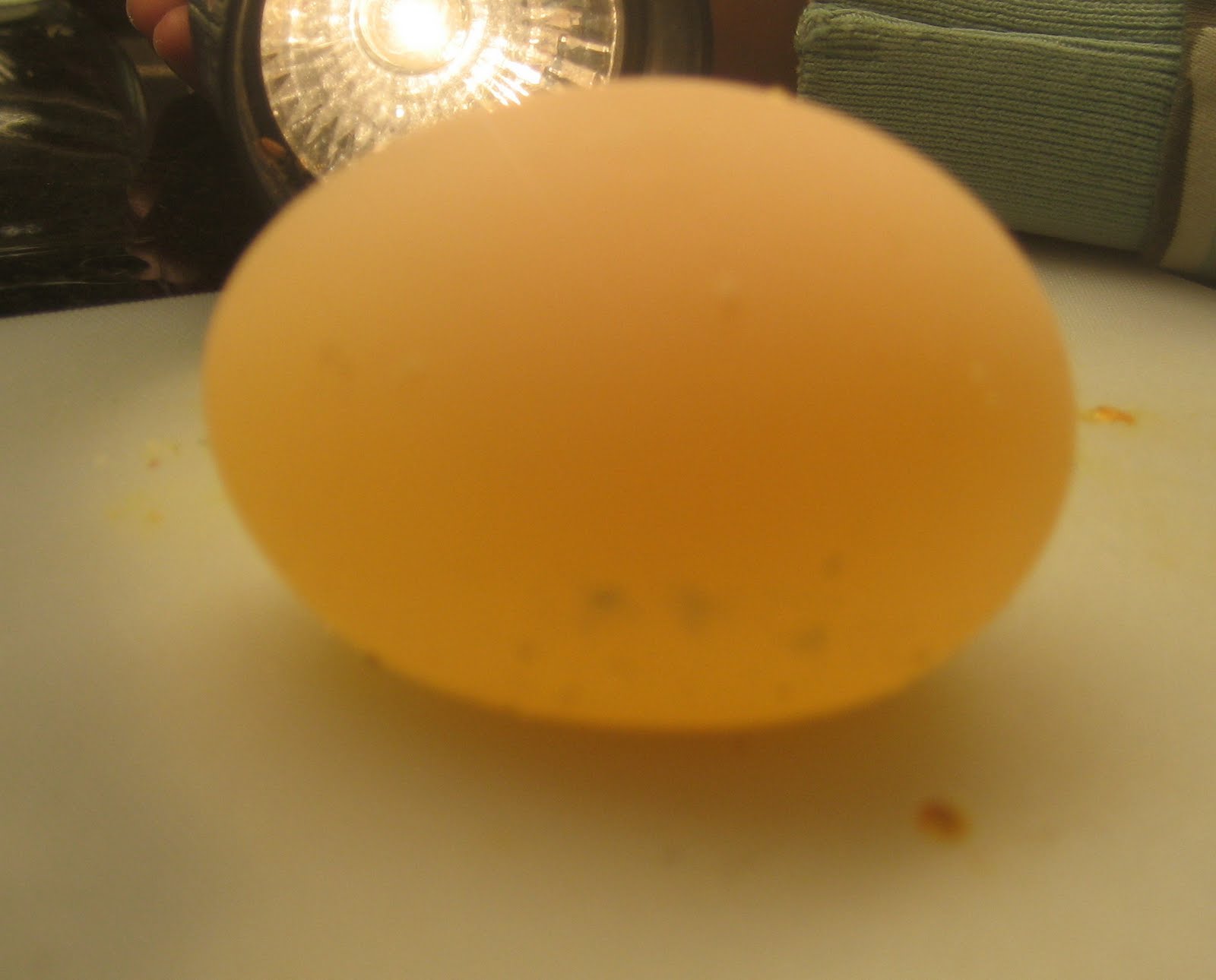 Antonia Harrison's blog Odd Eggs