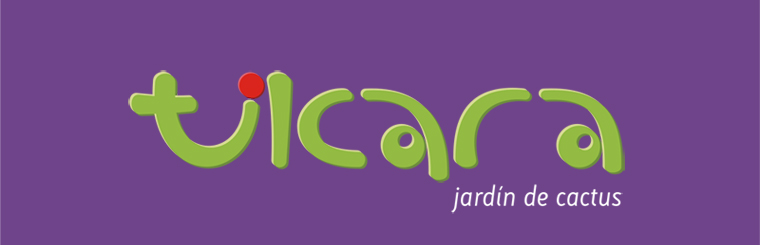 Tilcara [ jardín de cactus ]