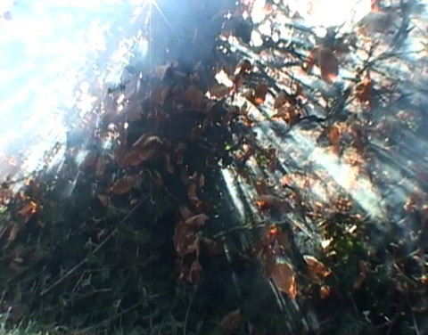 [video_feature_still.jpg]
