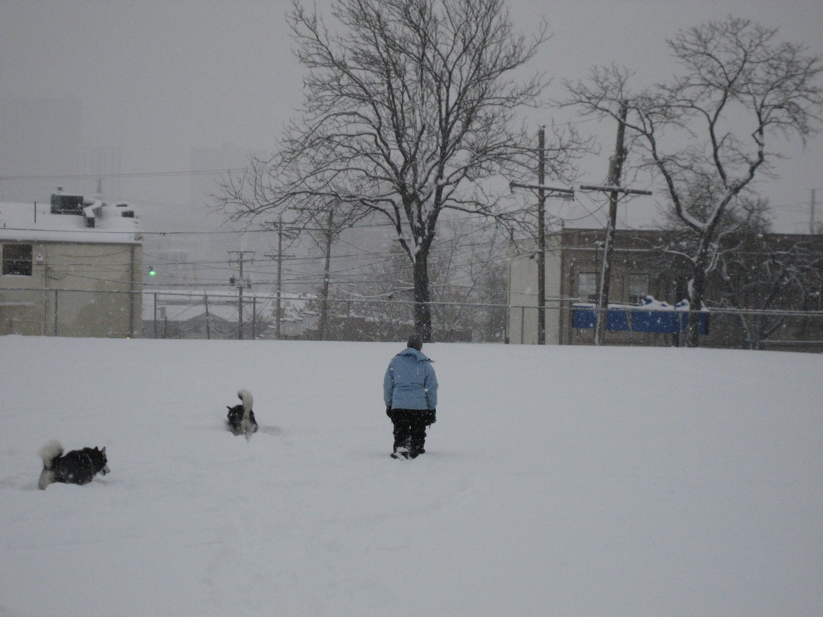 [IMG_0951.jpg]