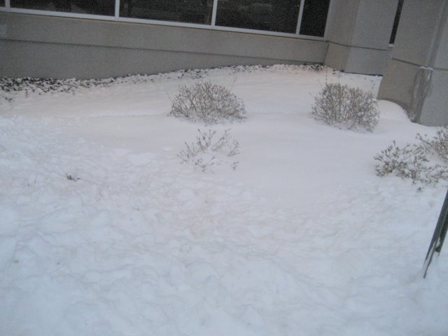 [IMG_3155.jpg]