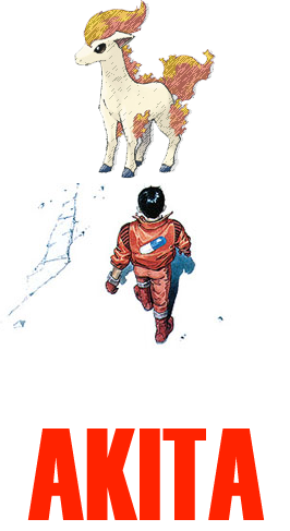 [AKITA.png]