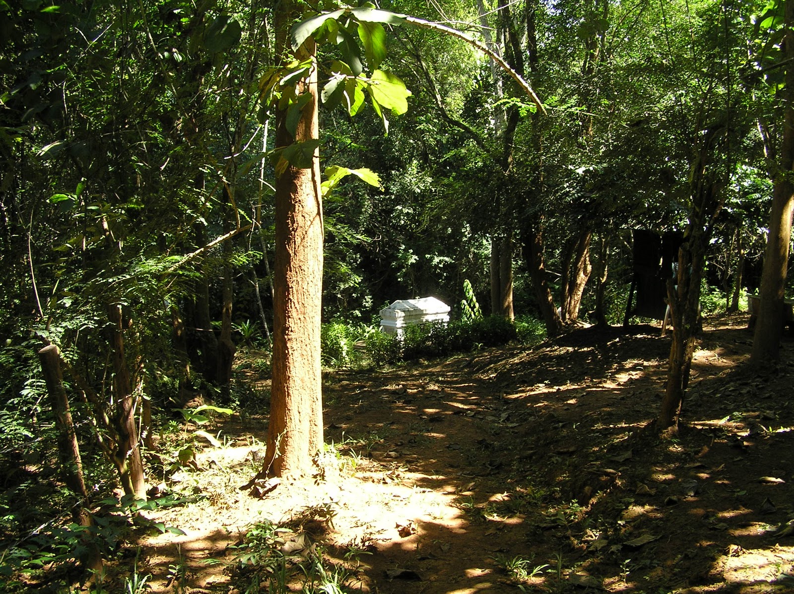 2010 Teaching in Thailand and feasibility study in Laos Tomb of Henri