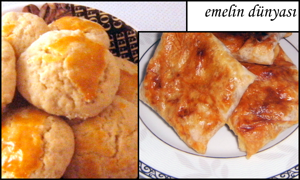 bu benim dünyam fındıklı kurabiye ve tavuklu börek