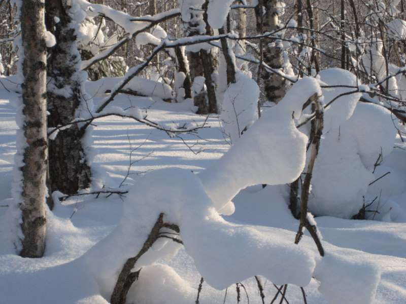 [IMG_0115.JPG]