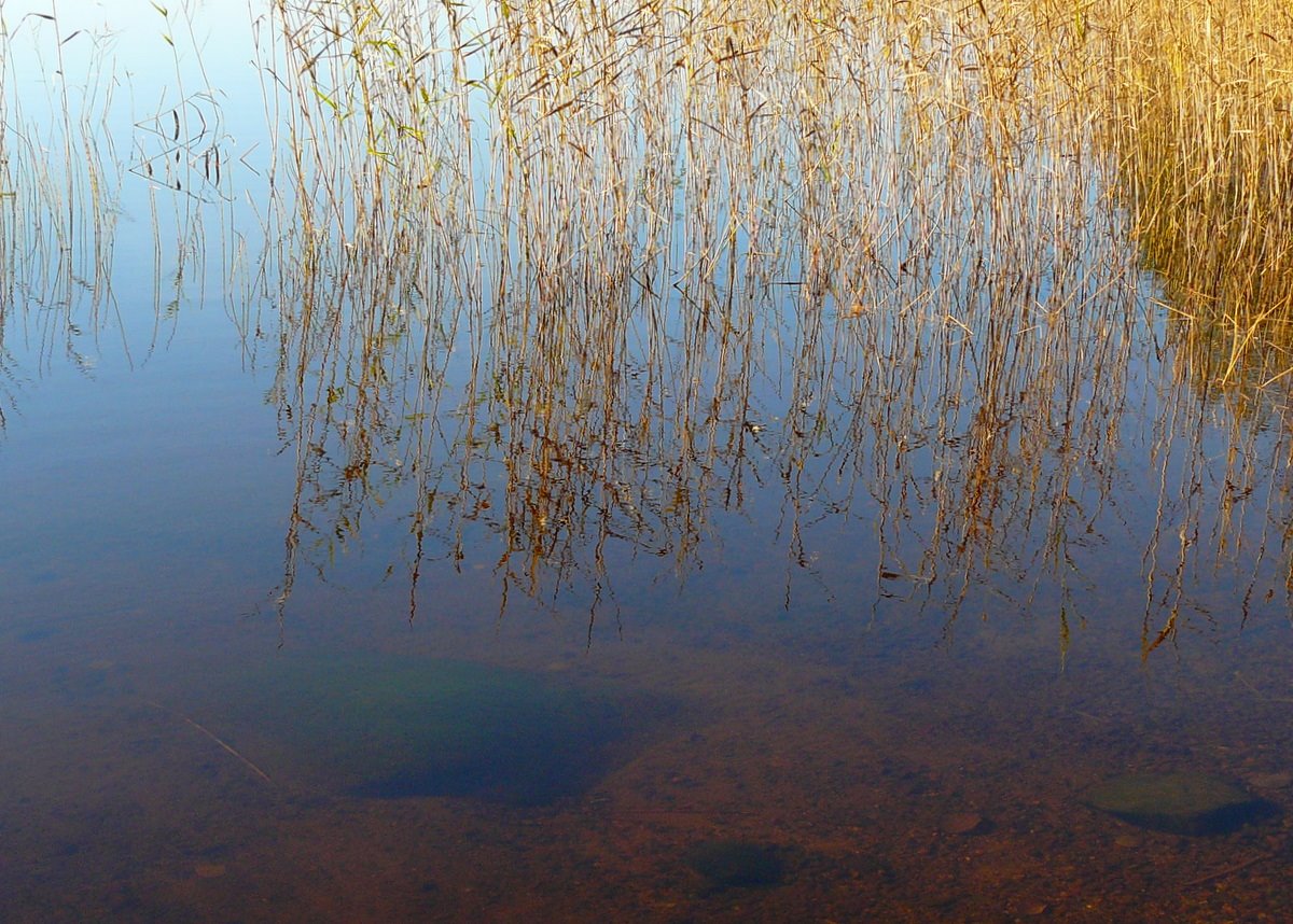 [9.10.2008+Tuomiojärvi+(20).JPG]