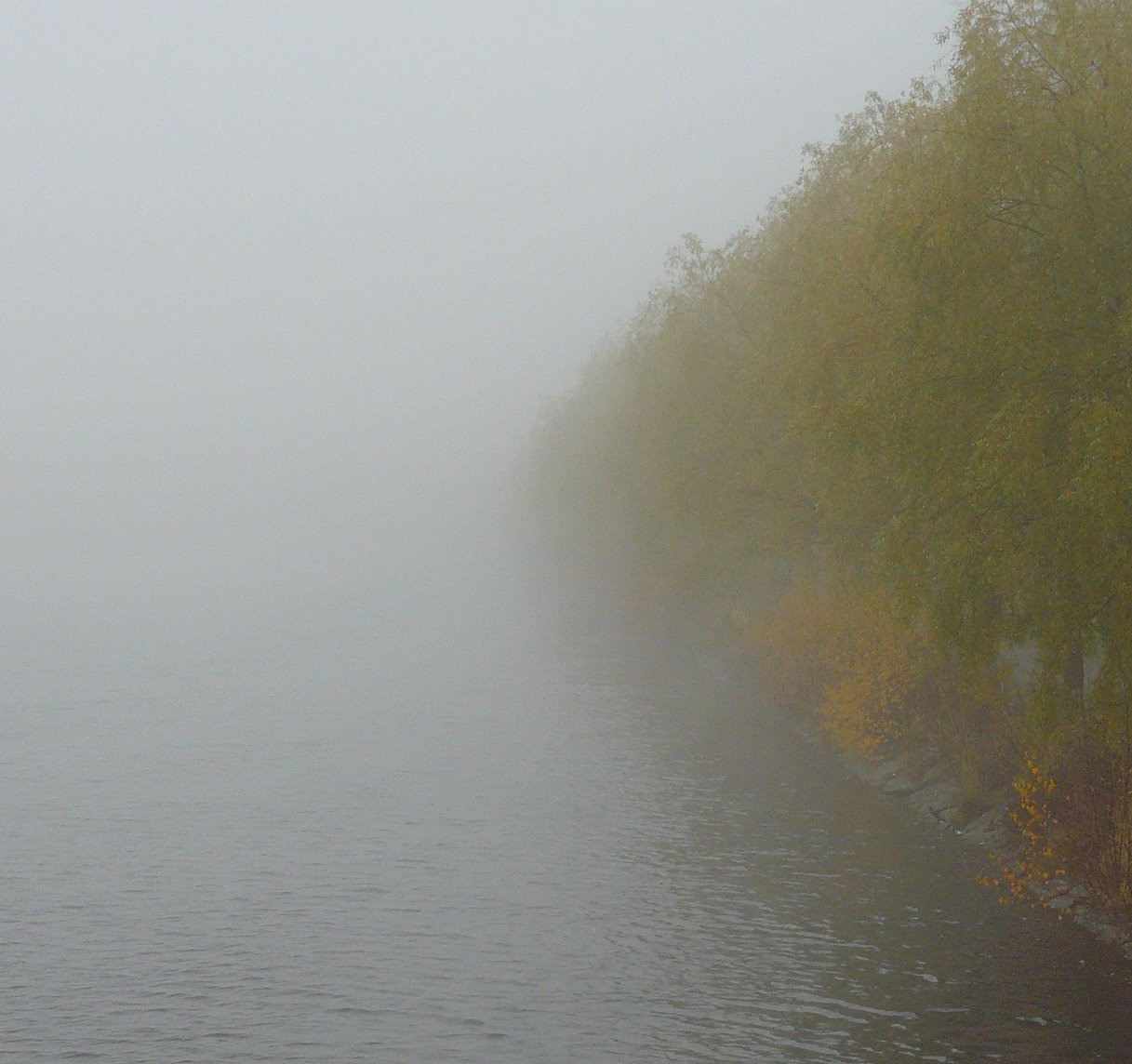 [P1080145.JPG]