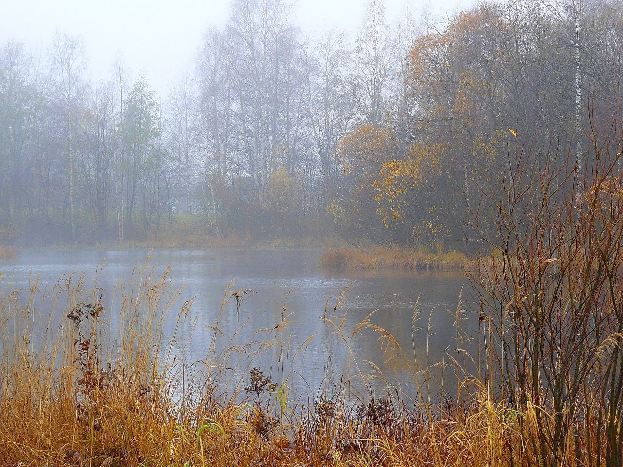 [P1080167.JPG]