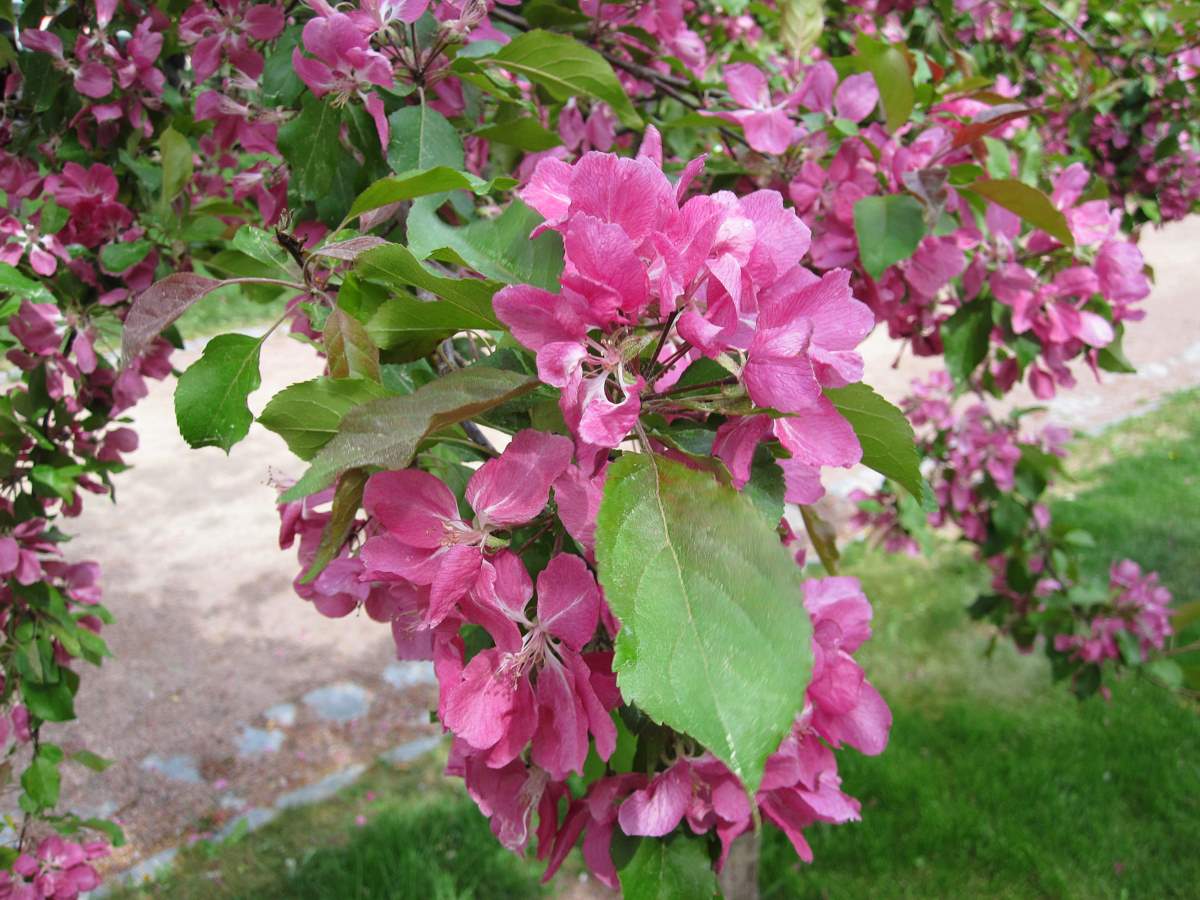 [3.6.2009+035-1.jpg]