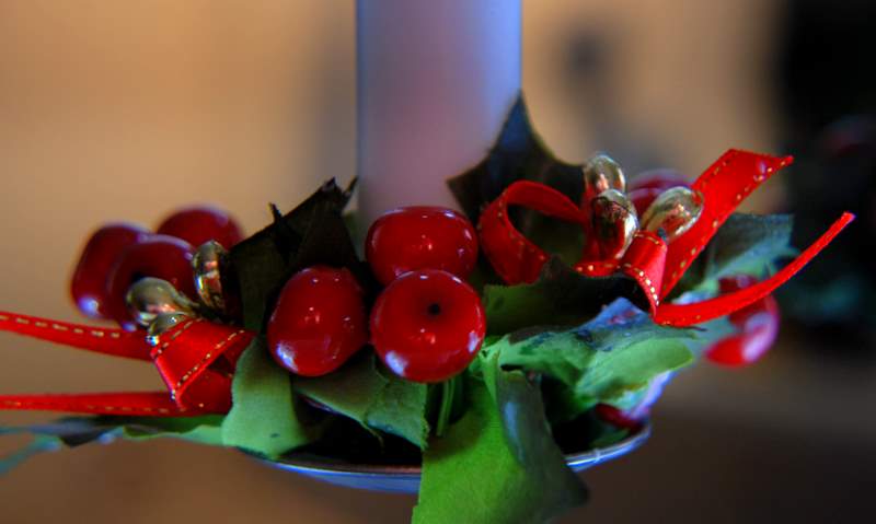 [DSC_0736-1.JPG]