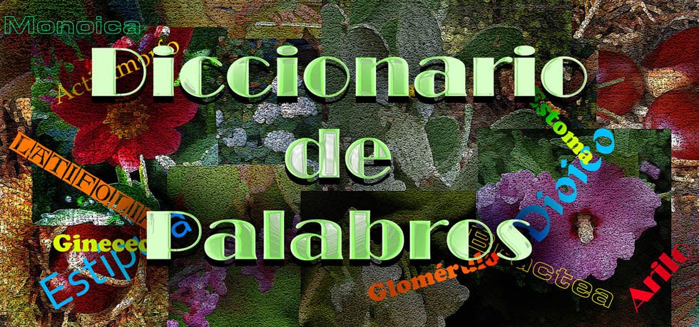 DICCIONARIO DE PALABROS