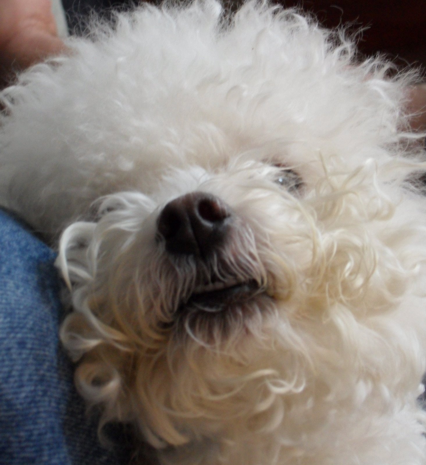 SAM_0347.JPG