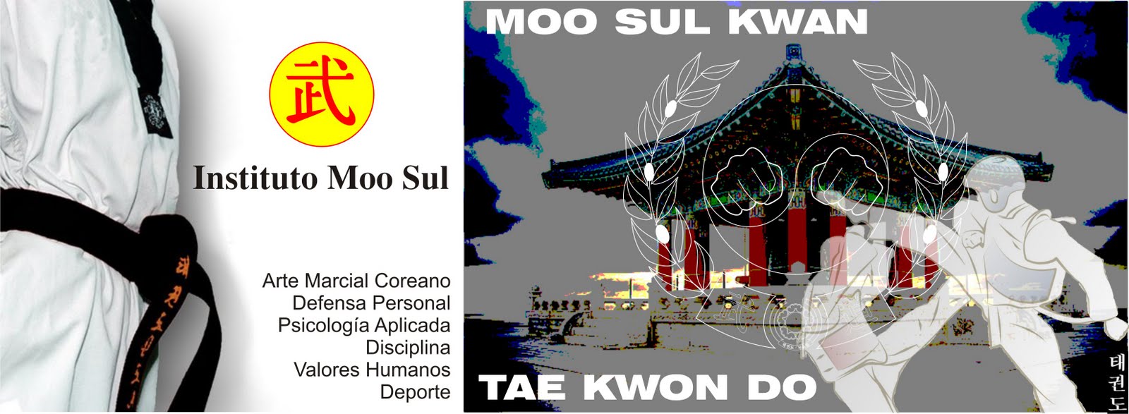 Instituto Moo Sul Tae Kwon Do Tijuana