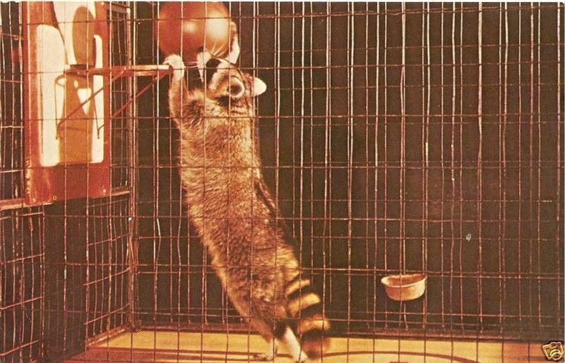 Outer Space Is In Short Supply