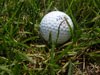 [golf+ball+in+grass.jpg]