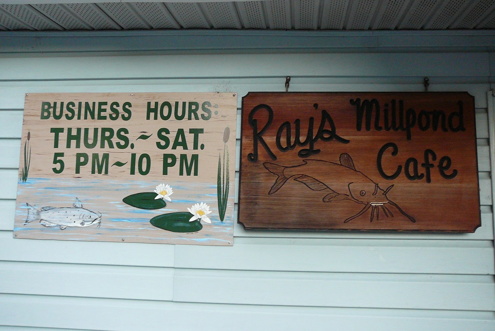 Sandy and Ray Fulltiming and Loving It! Visit to Ray City,