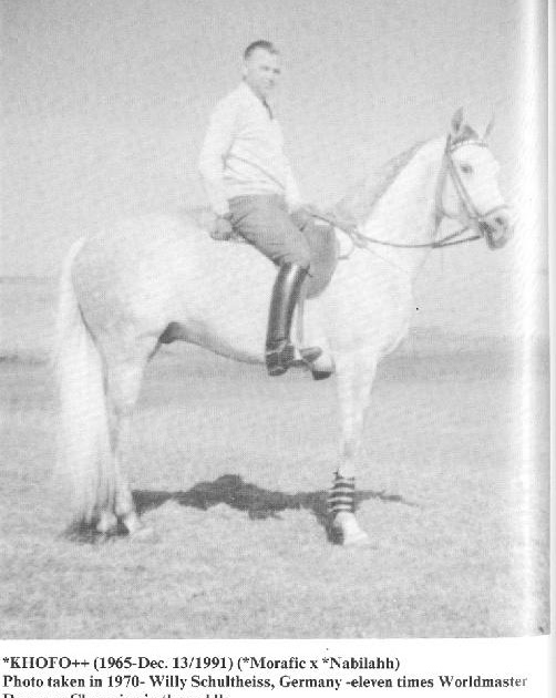 all for the love of a horse... Willi Schultheis and an Arabian Horse