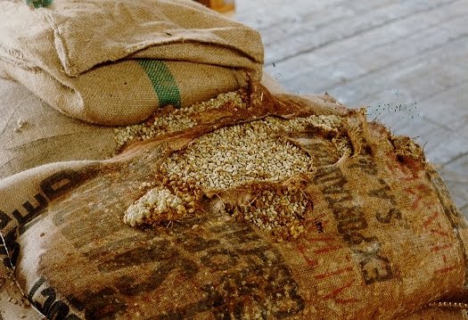 DRY BOX Humidity Absorbent Agriculture Products DRY BOX Humidity Absorbent Agriculture Products