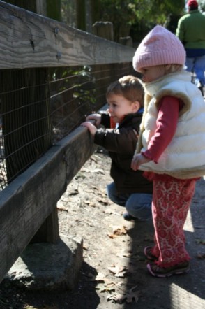 [jack+and+ella+at+fence.jpg]