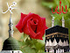 My photo