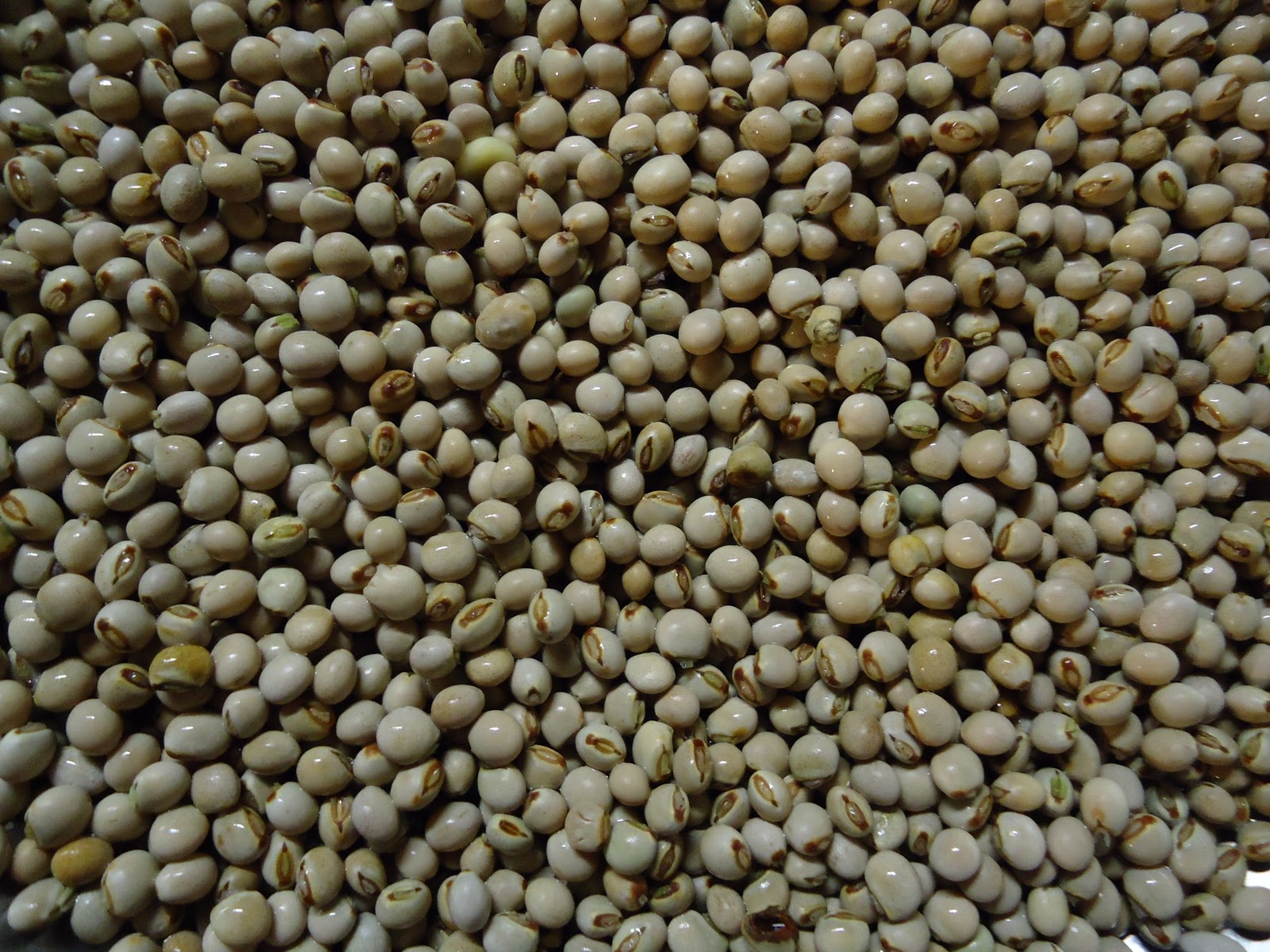 Get Skinny, Go Vegan. Vegan Tart Whole Pigeon Peas