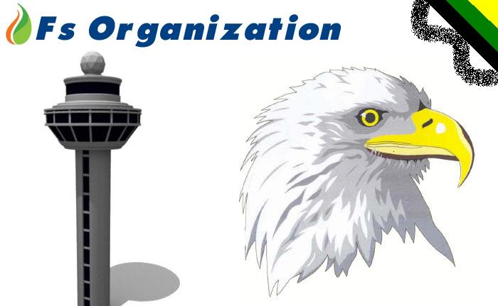 Fs Organization