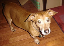 Buster