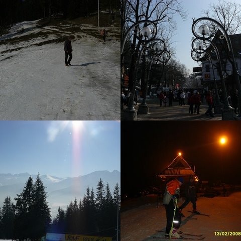 [collage12.jpg]