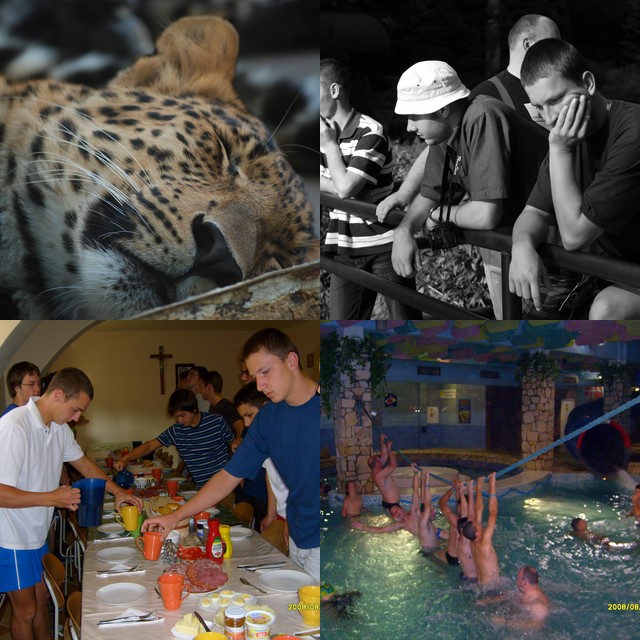 [collage17.jpg]