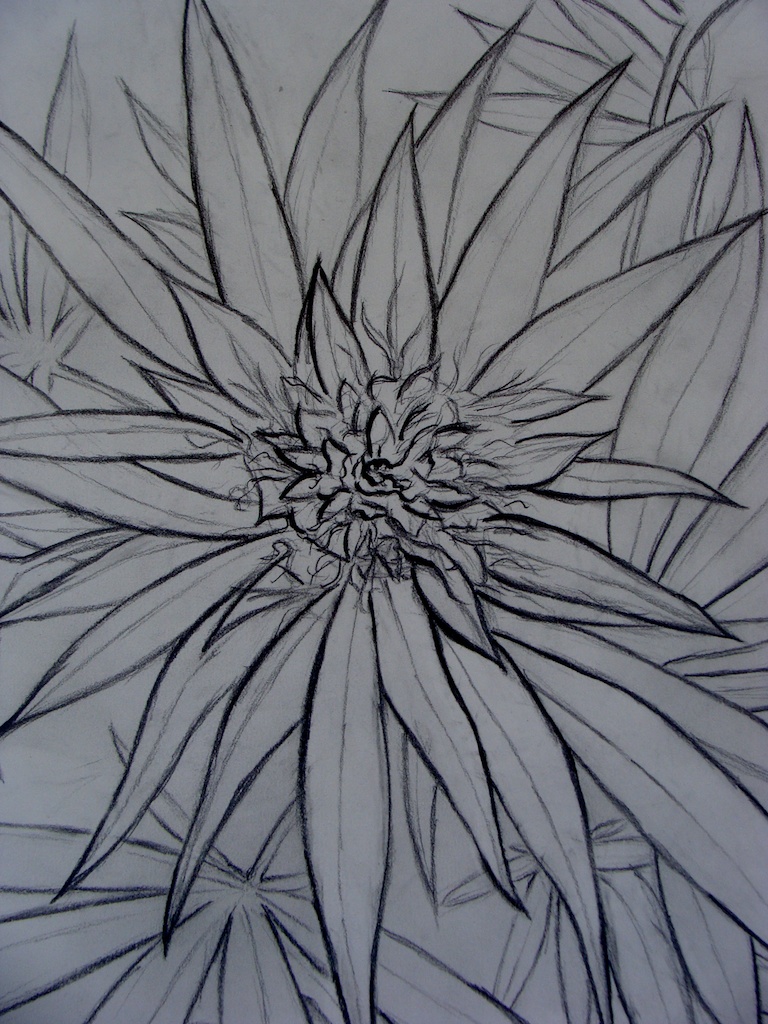 Drawing 1 [A Perspective]
