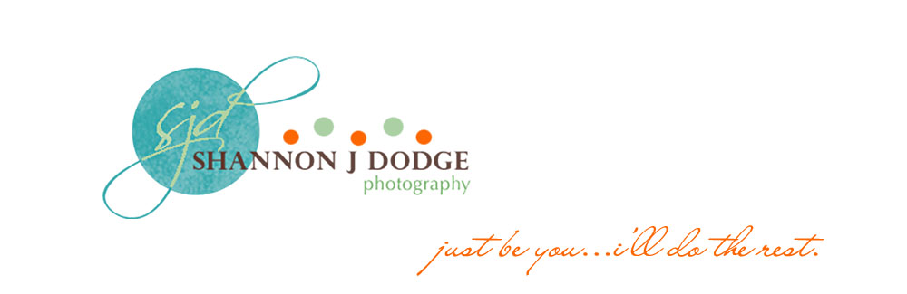 Shannon J. Dodge Photography--Custom, On Location Portaiture serving Fort Myers, Cape Coral, Naples