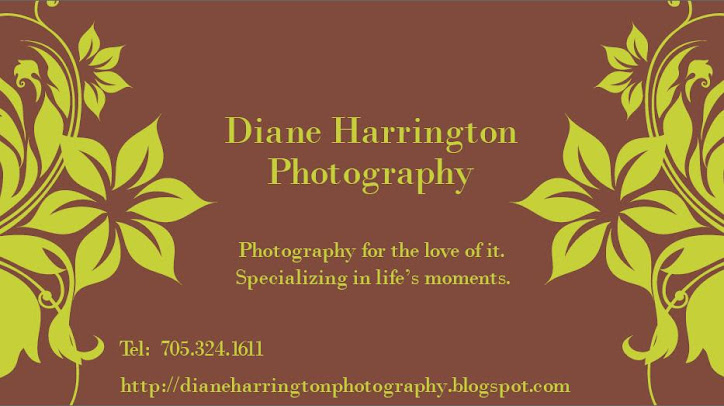 Diane Harrington Photography