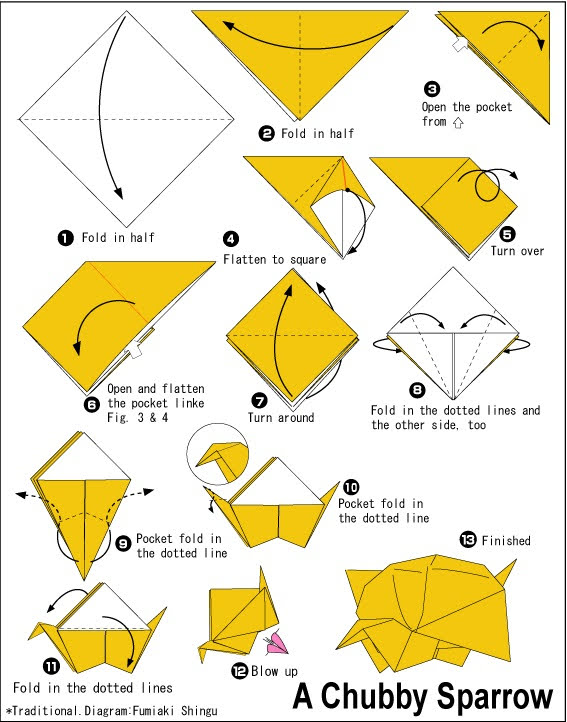 චබී ගේ කුරුල්ලෙක් හදමු (Origami Chubby Sparrow) - Your Choice Way