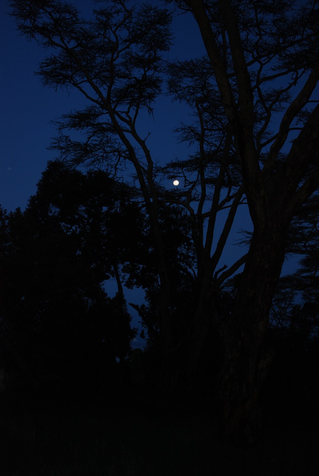 [DSC_0098.JPG]