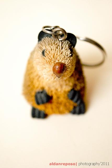node wants to use the local items keychain node wants to use the local items keychain
