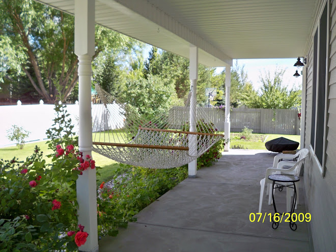 Side Yard & Hammock on Porch