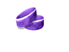 2005 Lupus Wrist Band