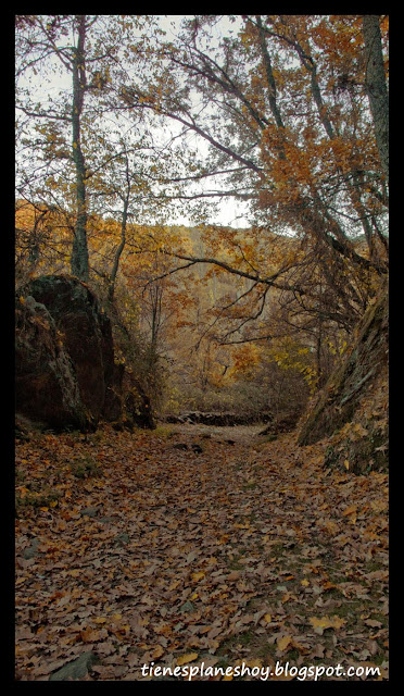 Sierra del Rincón en otoño