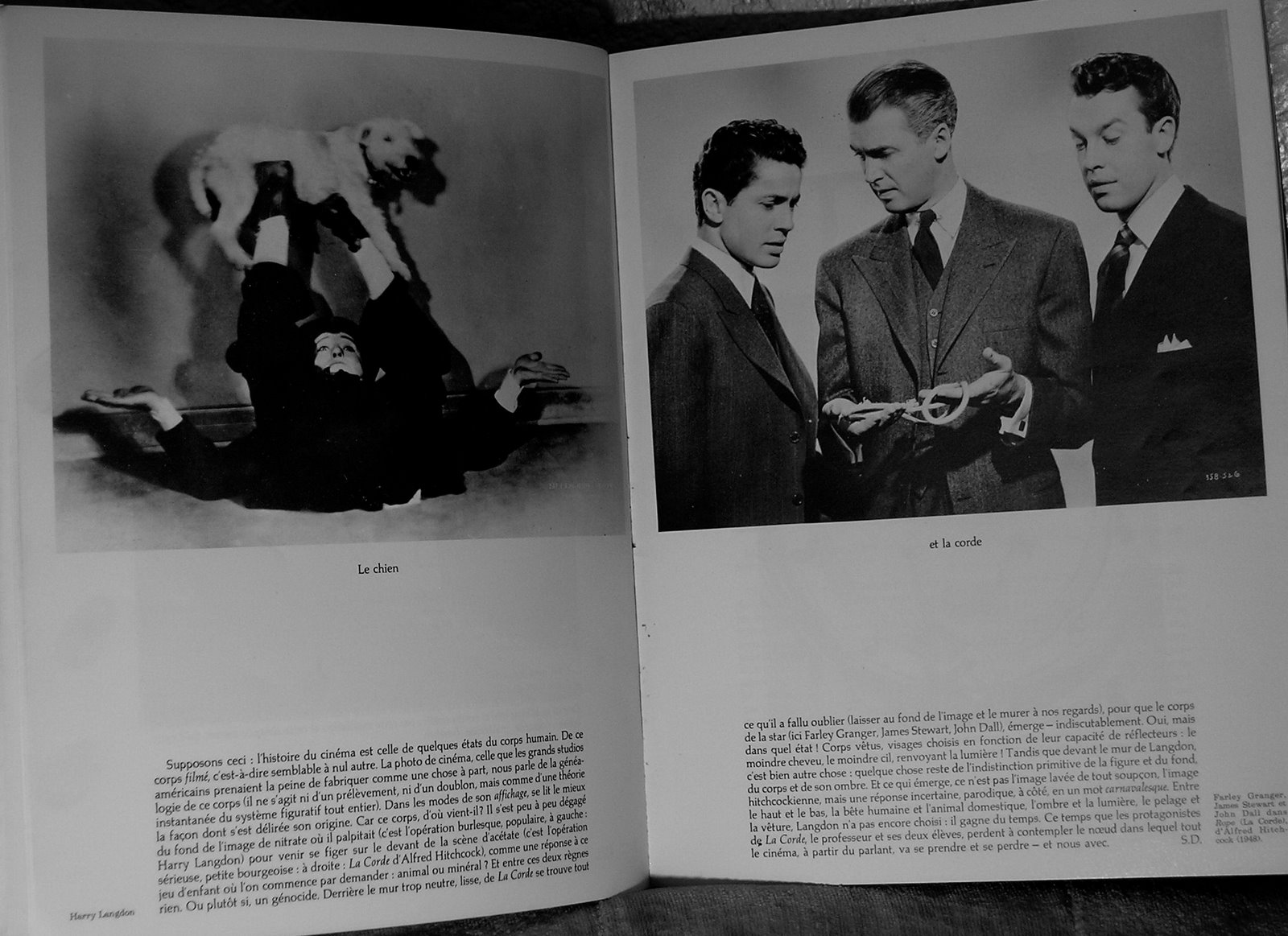 [chiencorde+009.jpg]