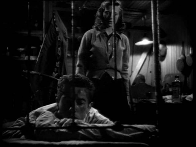 [theylivebynight2.jpg]