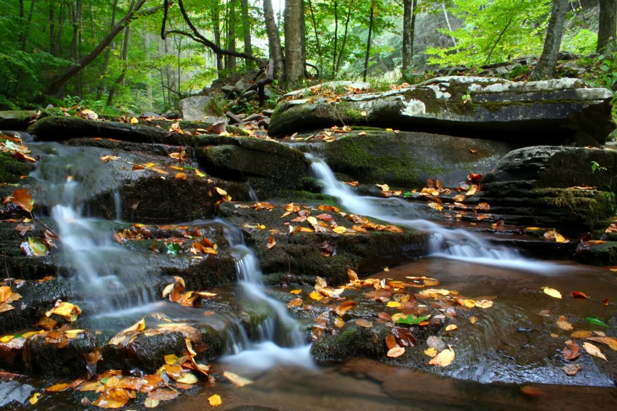 Okay, here's a comprehensive blog article on Natural Life Travel Quotes, designed to be engaging, informative, SEO-friendly, and valuable to readers.