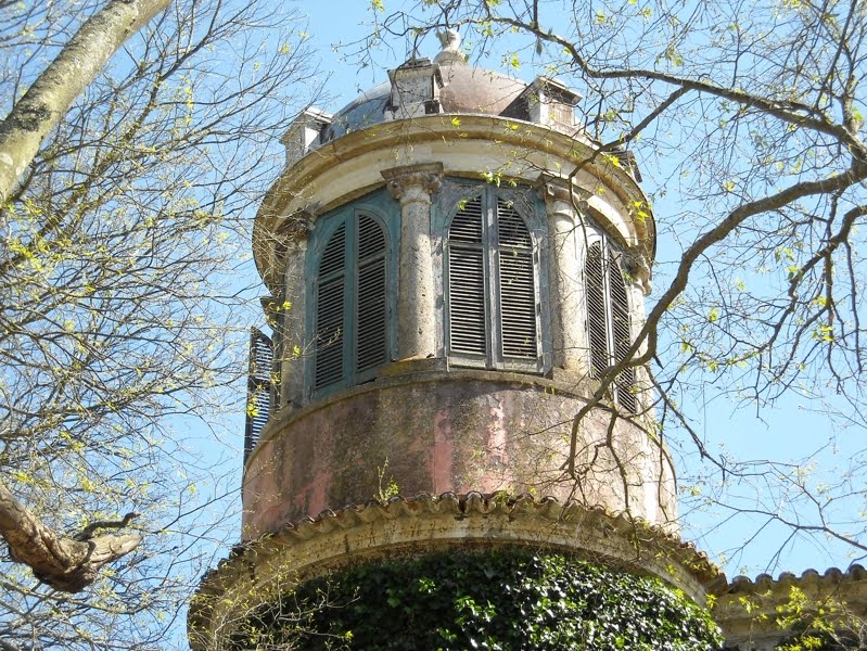 Resultado de imagem para fotos da Cardiga