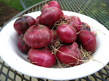 Red Onions