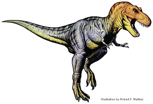 walters_tyrannosaurus.jpg