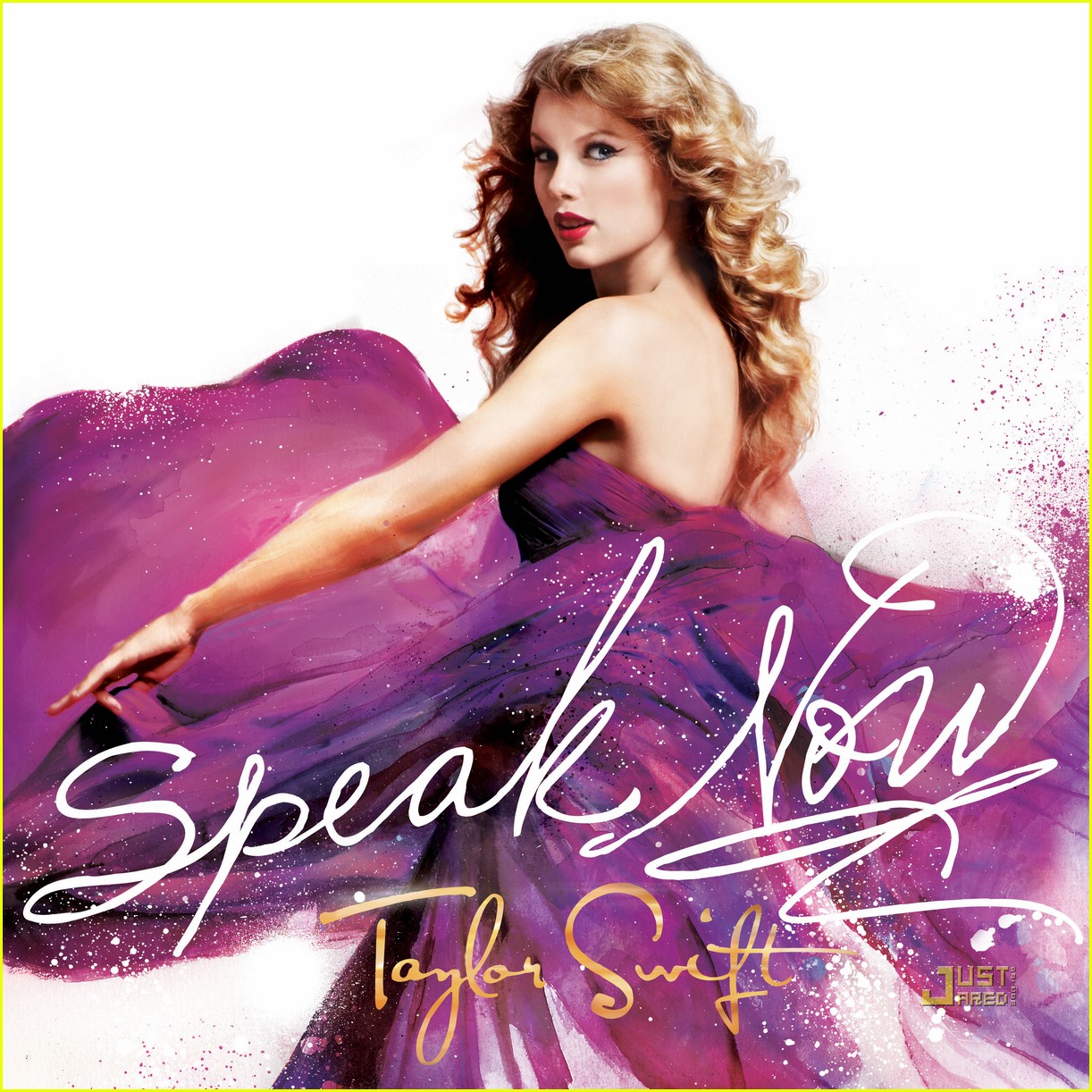 http://1.bp.blogspot.com/_i1-Dk6-m6qE/TH3AnnTjkJI/AAAAAAAAADY/wEQrbHcUsyk/s1600/taylor-swift-speak-now-album-cover-02.jpg