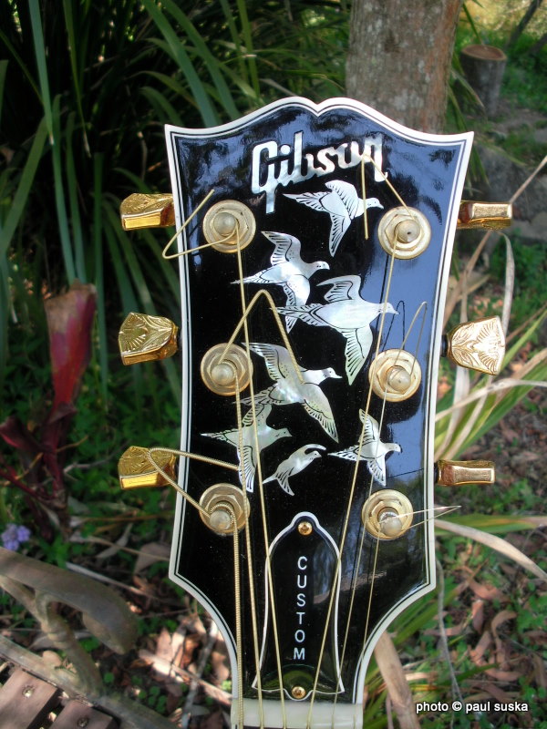 Pauls Guitar Blog Gibson Doves in Flight