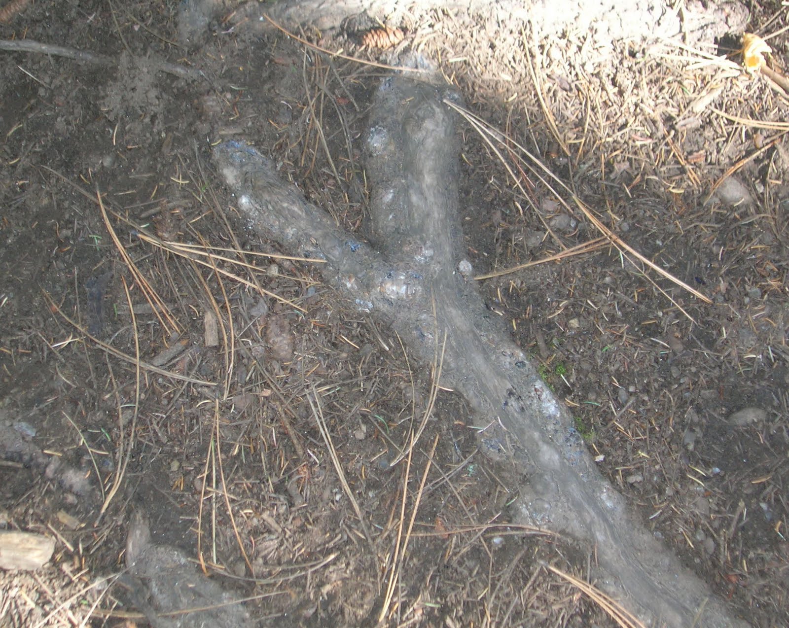[DSCN6126.JPG]