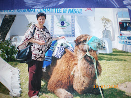 Sidi Slimane, siège de l'Ass.pour la sauvegarde de Nabeul, le dromadaire  pose pour Tata Ichtir