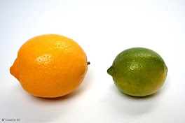 citron vert, citron jaune
